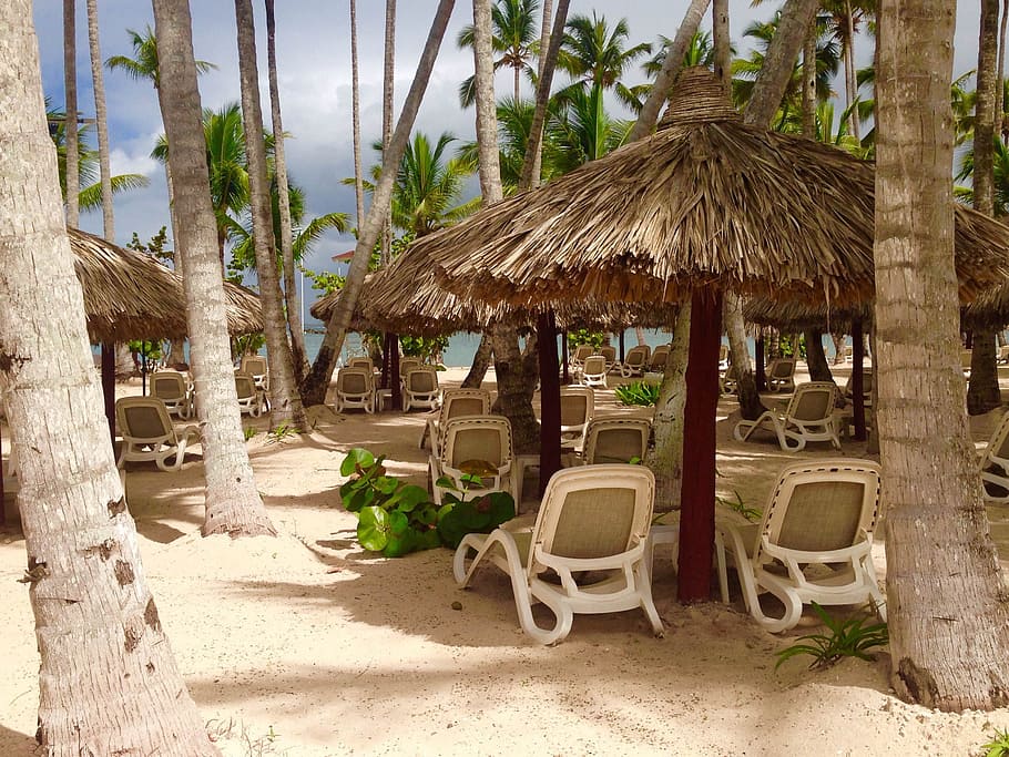 la, romana, Bahia Principe, La Romana, dominican republic, paradise, beach, palms, beach chair, palm tree