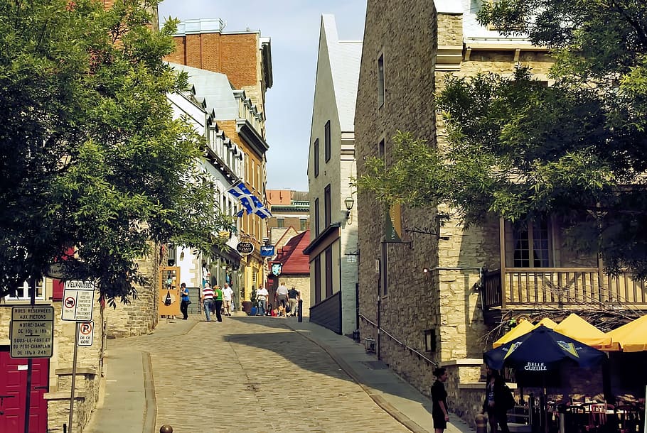 canada, quebec, lower town, street, signs, stone houses, history, shop, architecture, building exterior