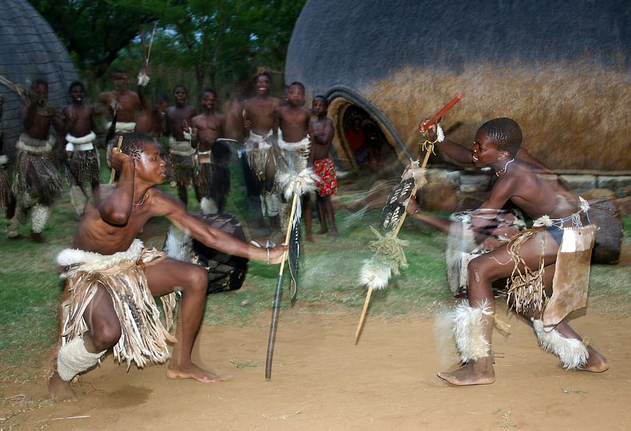 actuación de la tribu, pelea de palos, bailarines zulúes, escudos de piel, faldas de piel de animal, izibindi sudáfrica, tradición, cultura, personas reales, grupo de personas