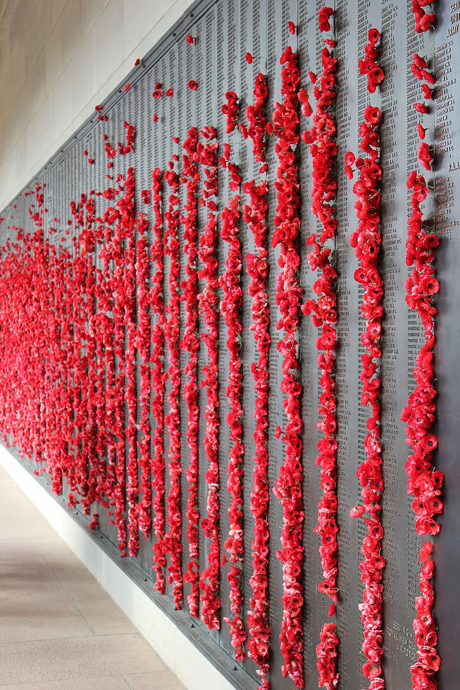 Poppies, Memorial, War, Remembrance, anzac, military, red, food and drink, preparation, indoors