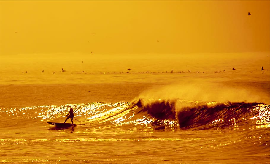 persona que practica surf, ola, dorado, hora, hombre, equitación, tabla de surf, enfrentando, grande, olas