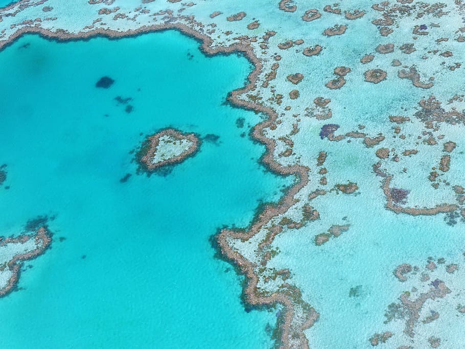 aerial, photography, blue, sea, heart reef, australia, great barrier reef, backgrounds, textured, water
