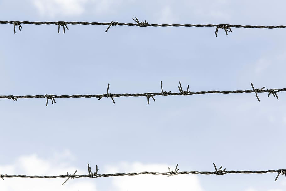 3-layer barbwire photo, layer, barbwire, urban, lazy, sharp, fence, sky, blue, barbed
