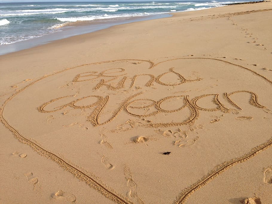 beach, sand, writing, vegan, sea, summer, vacations, single Word, wave, text