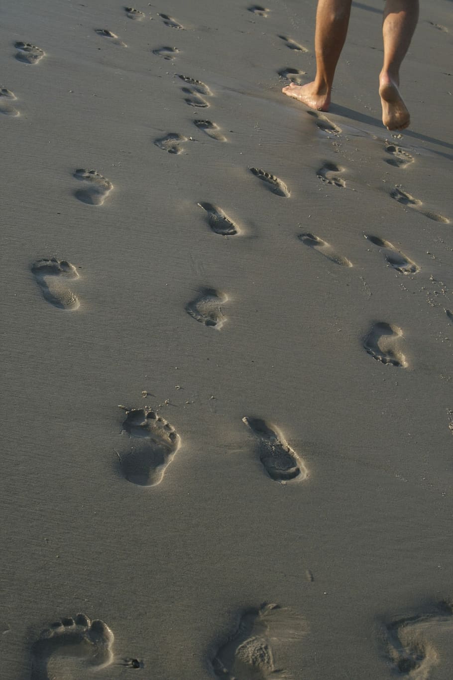 person, walking, gray, footprints, daytime, Beach, Sea, Water, Sand, Holiday, Foot