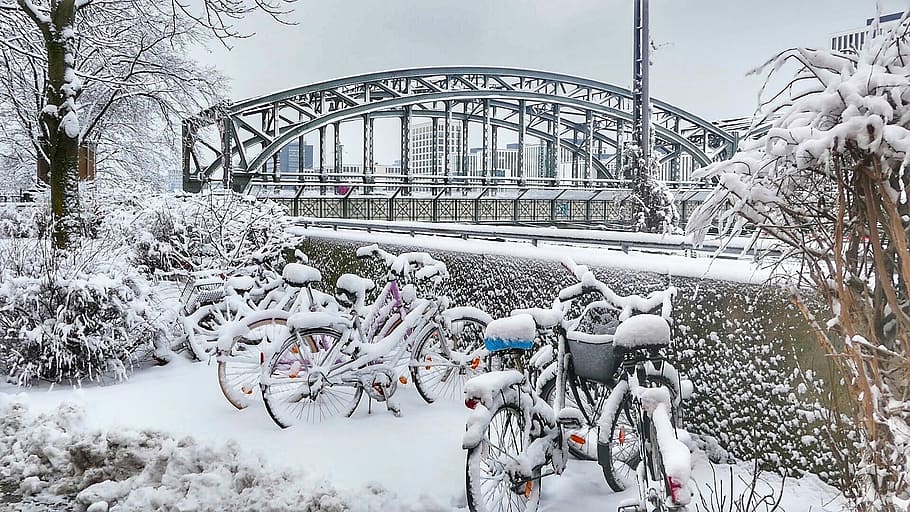 bicycles, cover, snow, trees, daytime, winter, cold, transport system, frost, frozen