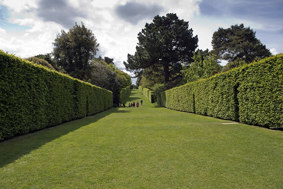 long, avenue, Hidcote Manor Garden, long avenue, high enclosing hedges, accentuated perspective and scale, tree, cloud - sky, green color, nature