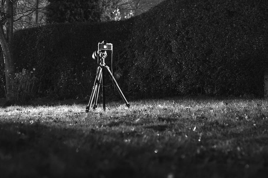 camera on grass, night photography, classic photography, limelight, analog photography, film, camera, tripod, long-term exposure, slow sync