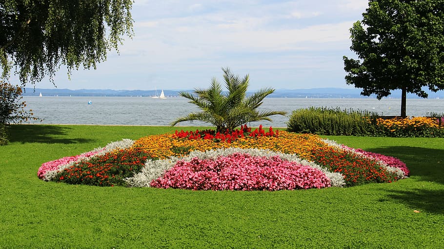 flowers, flower island, rondelle, lake, sky, promenade, romanshorn, lake constance, plant, beauty in nature