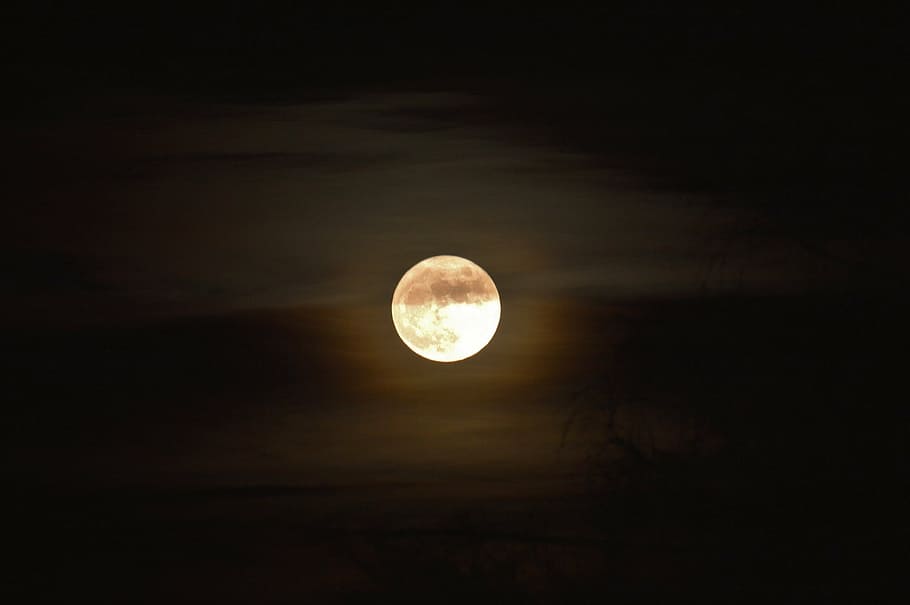 the moon, moon, moonlight, atmosphere, mystical, mood, gloomy, night, full Moon, sky