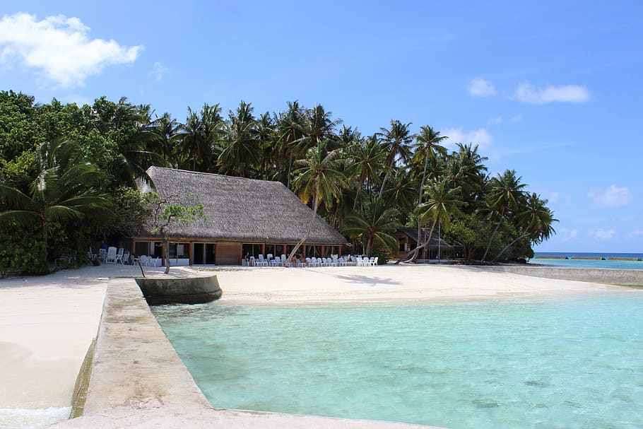 Maldivas, Mar, Praia, Palmeiras, férias, verão, mar de praia, água da praia, paraíso, feriados