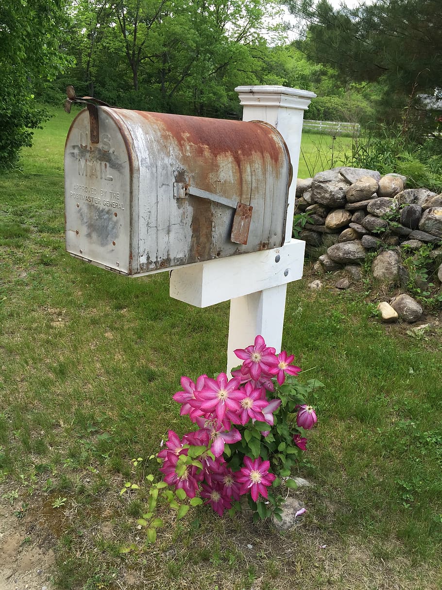 white, gray, rusted, mailbox, trees, mail, letter, post, box, vintage