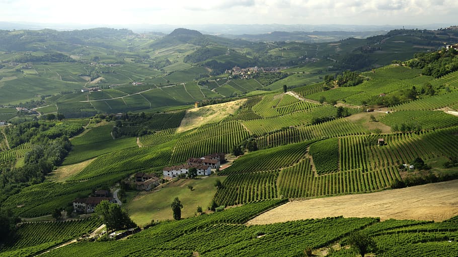 morra, langhe, Italia, anggur, alam, hijau, pemandangan, di luar rumah, sekrup, lebar