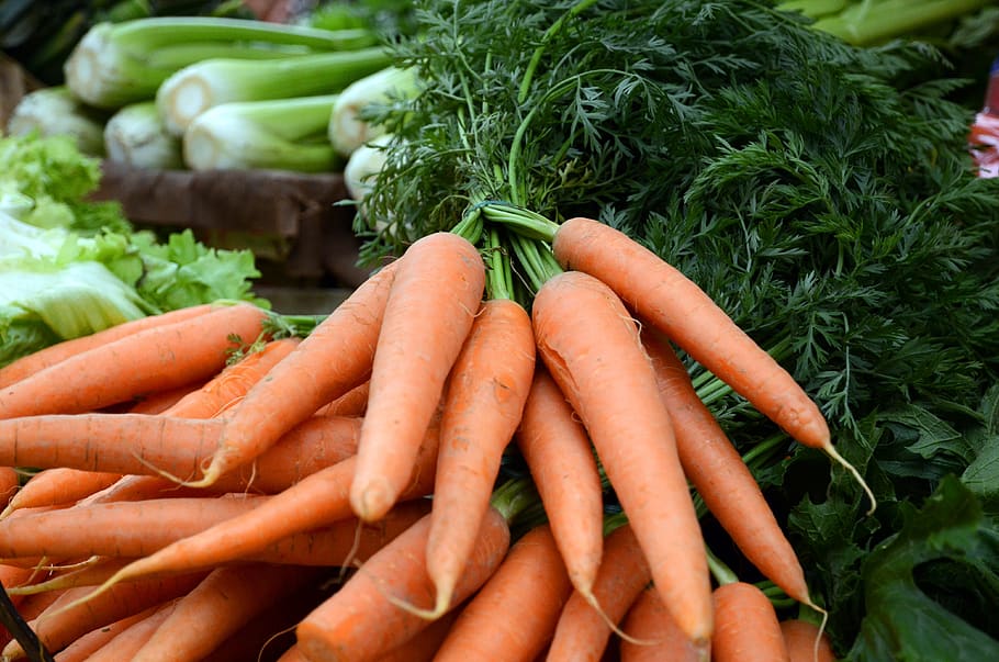 carrots, vegetables, vegetale, vegetarian, agriculture, food, vegan, vegetable, healthy eating, food and drink