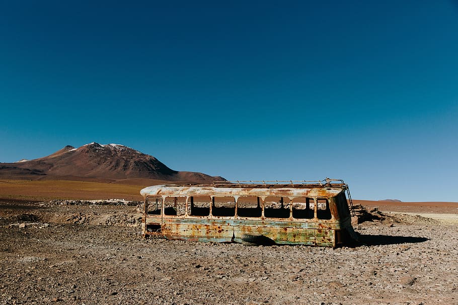 brown, green, bus, old, in to the wild, abandoned, outdoors, landscape, nature, travel