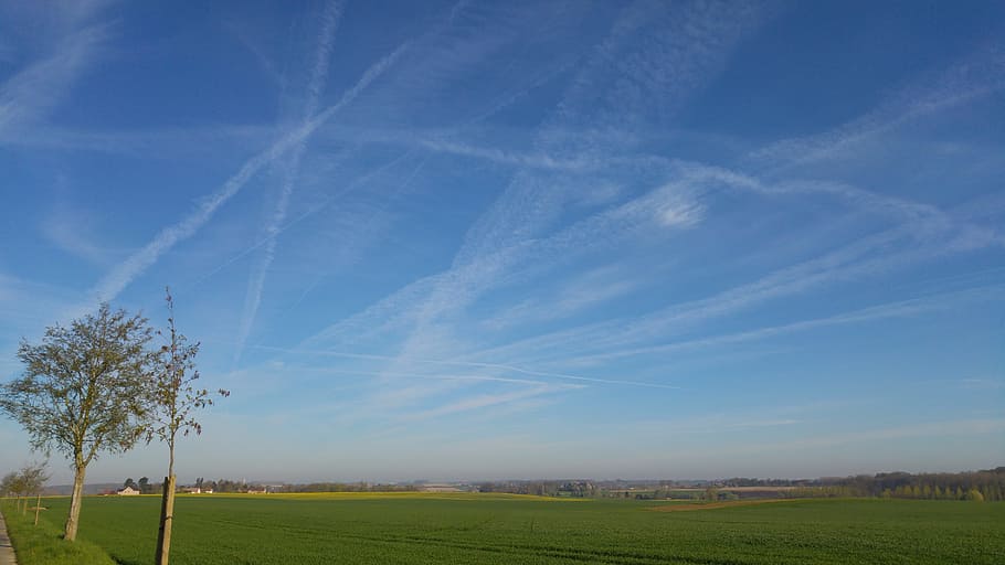 sky hazy, chemtrails, landscape, walloon brabant, sky, environment, beauty in nature, plant, land, tranquil scene