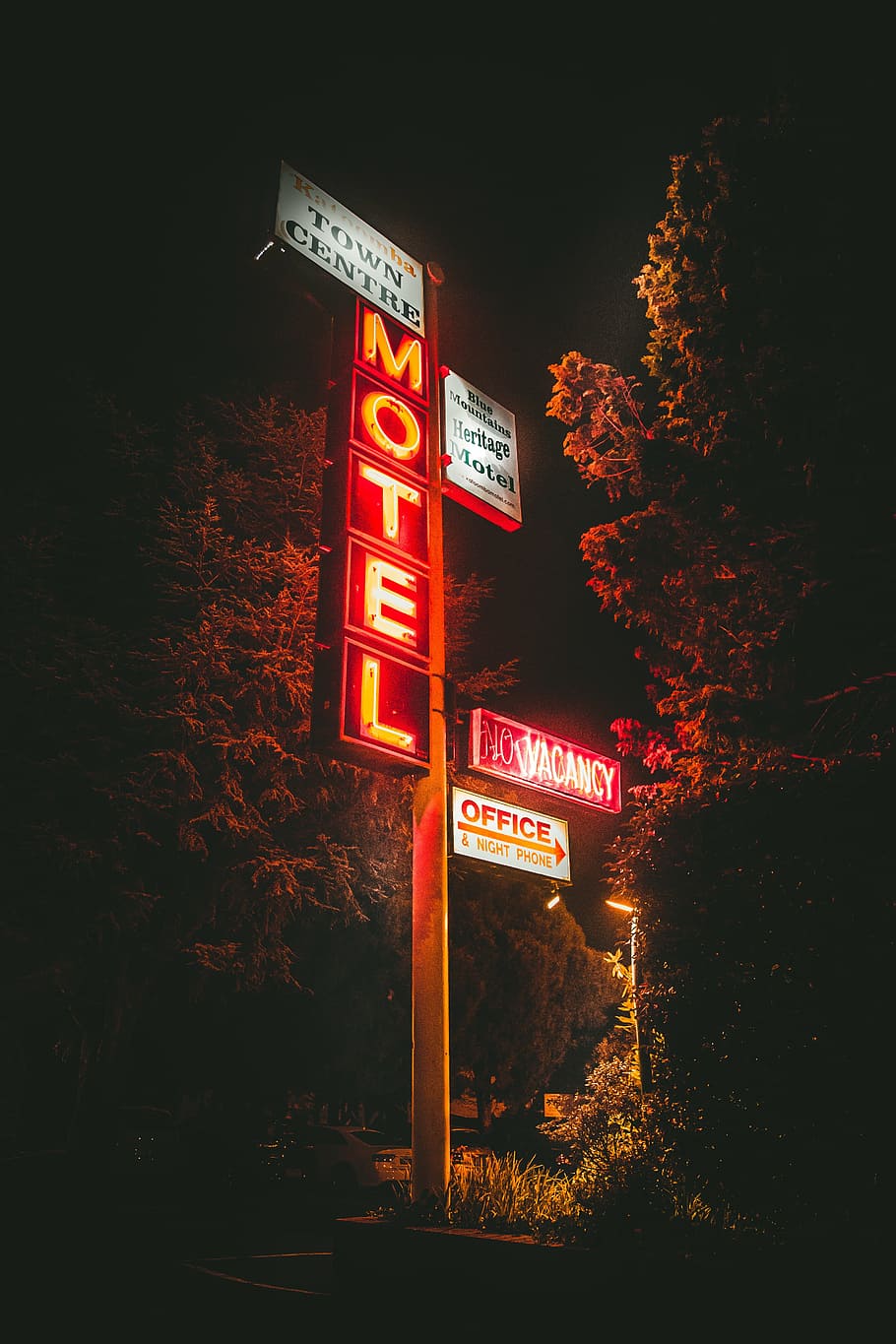lighted, motel signage, nighttime, trees, post, motel, signage, lights, dark, night