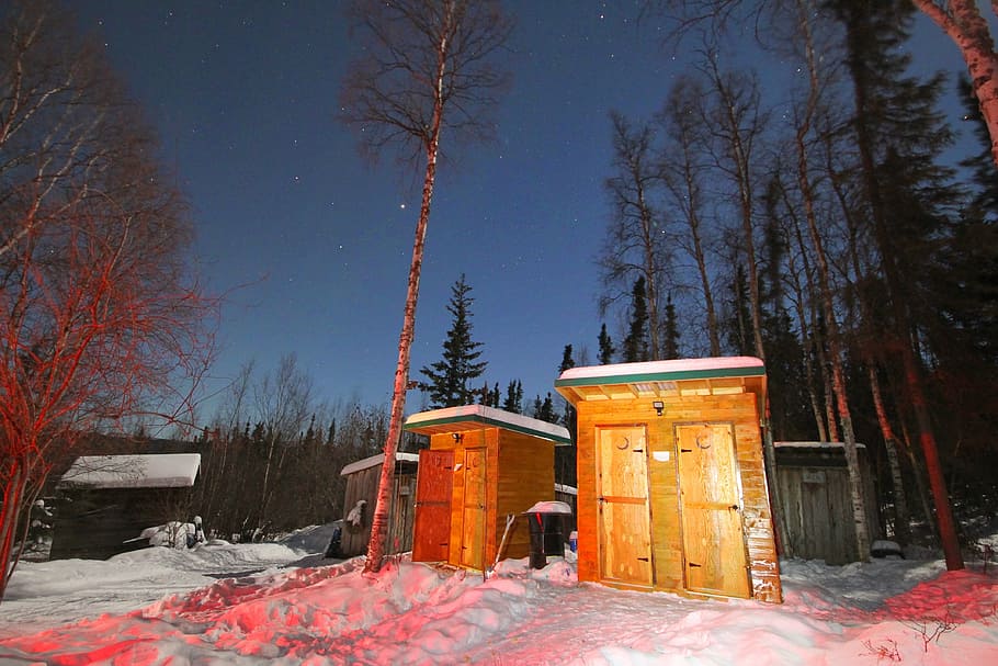 night, outhouse, snow, alaska, forest, nature, privy, trees, cold temperature, winter