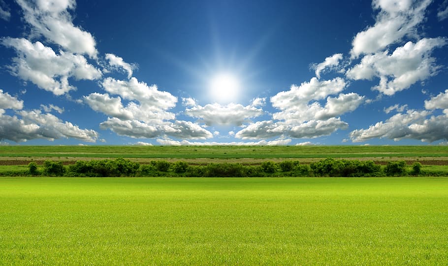 fotografía de paisaje, campo de hierba, rayos de sol, hermoso, pradera, sol, cielo, hierba, medio ambiente, pintorescos - naturaleza