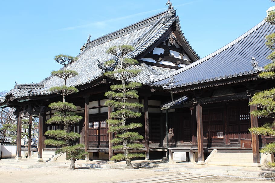 Japan, Temple, Japanese, architecture, building exterior, built structure, house, roof, cultures, building