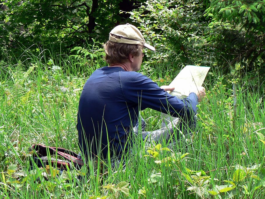 hierba, bosque, naturaleza, un mapa, orientación, verde, hombre, lectura, descanso, respirador