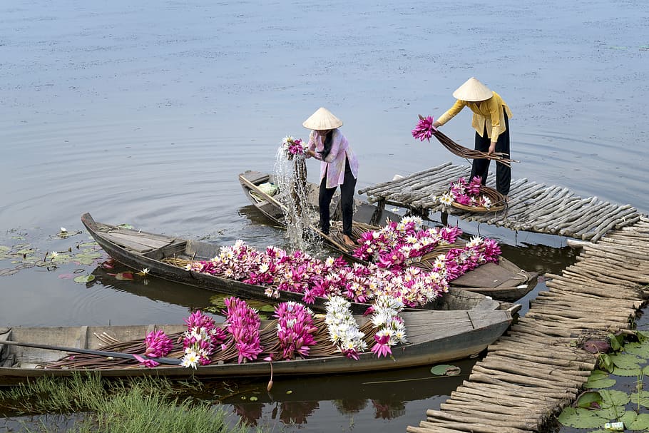 twp farmers, boat, lily, seafood, color, plain, farmer, flower, food, green
