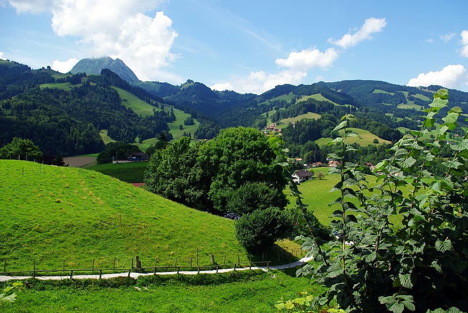 swiss, switzerland, mountain, scenery, european, alps, landscape, scenic, outdoor, green
