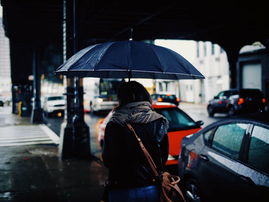 person, standing, underneath, umbrella, people, woman, rain, car, vehicle, transportation