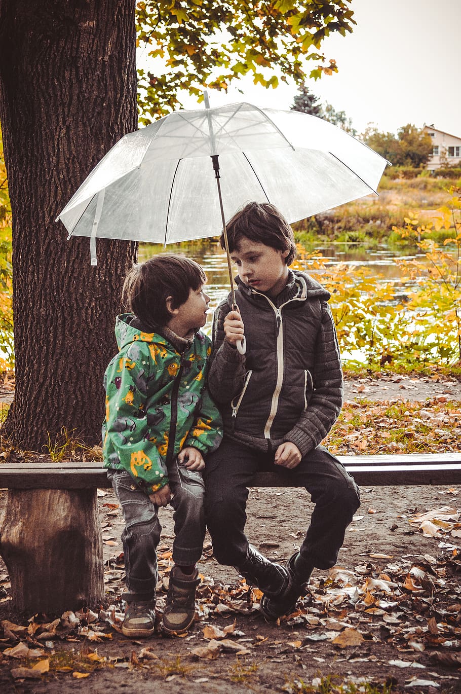 paraguas, niños, lluvia, muchachos, pícaros, infancia, familia, hermanos, otoño, parque