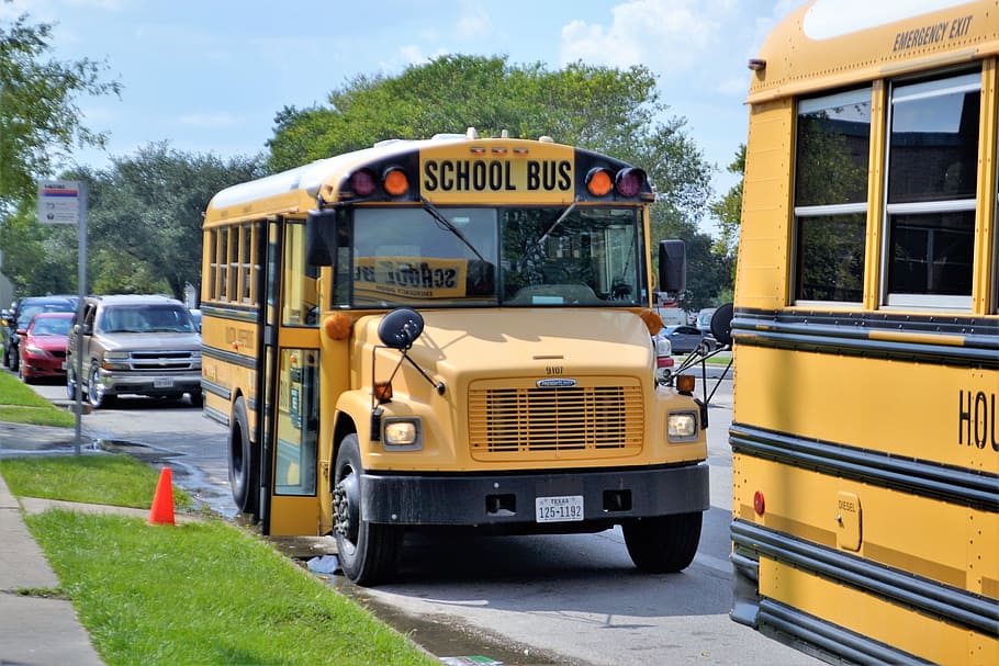 parked, yellow, school bus, school buses, houston texas, teachers, students, grade school, buses, educational