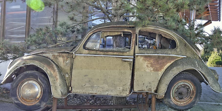 vw beetle, volkswagen, vw, scrap car, scrap, sheet, rusted, stainless, mode of transportation, land vehicle