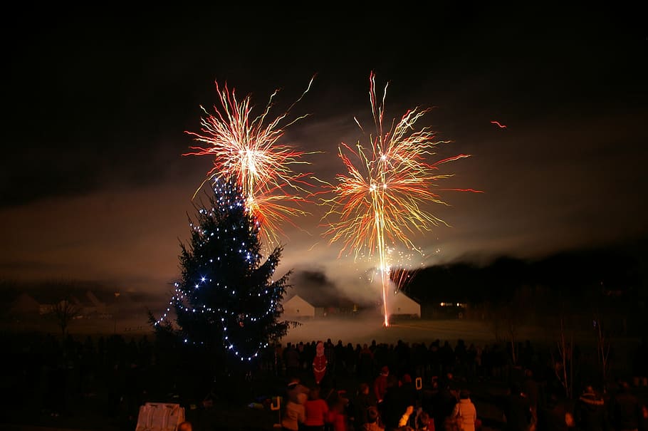 fireworks, night, fir, christmas, christmas decoration, winter, festival, fir branch, joy, star