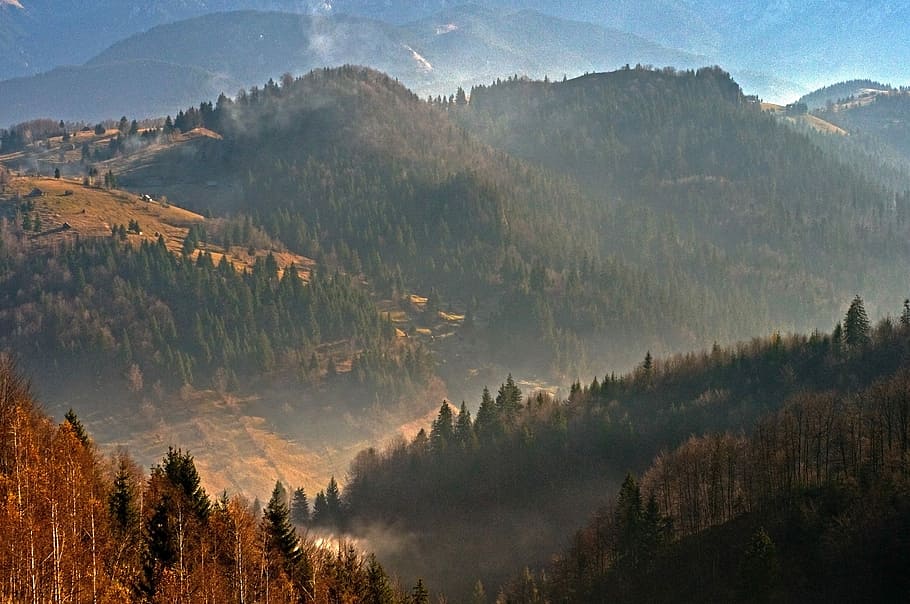 Cárpatos, Piatra Craiului, Montanha, floresta, paisagem, romênia, montanhas, neblina, outono, natureza