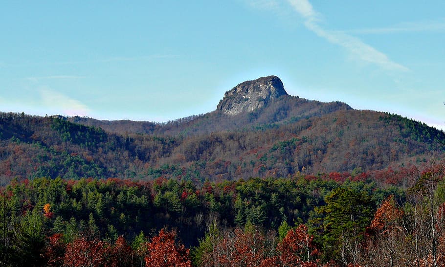 North Carolina, Carolina, Forest, Trees, Fall, forest, autumn, beautiful, landscape, sky, mountain