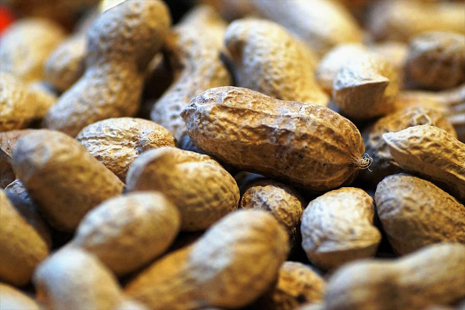 closeup, photography, brown, peanuts, groundnuts, nut, paper, peel, detail, allergies
