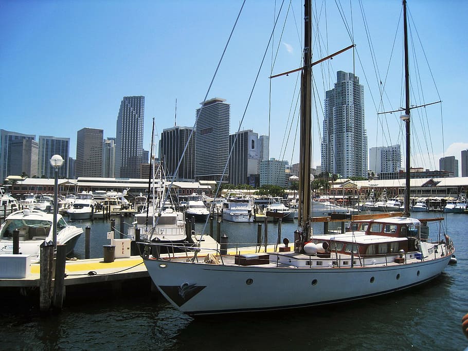 white, brown, sailboat, docked, wooden, platform, miami, florida, sailing vessel, skyline