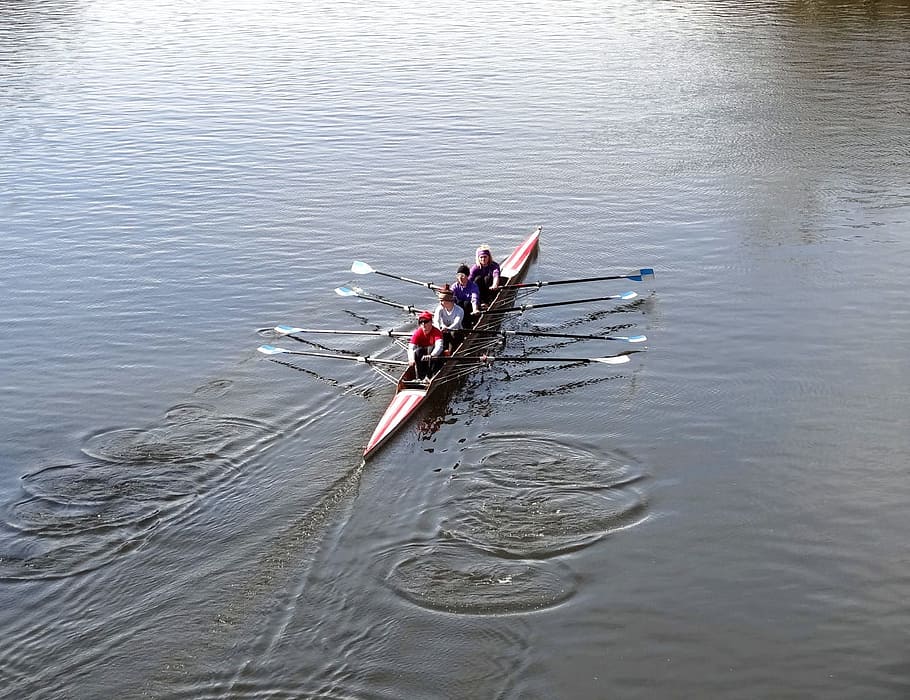 four, persons, riding, boat, body, Rowing, Boat, River, Water, oarsmanship, rowing
