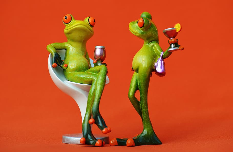 Frog, Chair, Cozy, Drink, Wine, for two, soaked, cute, sweet, funny