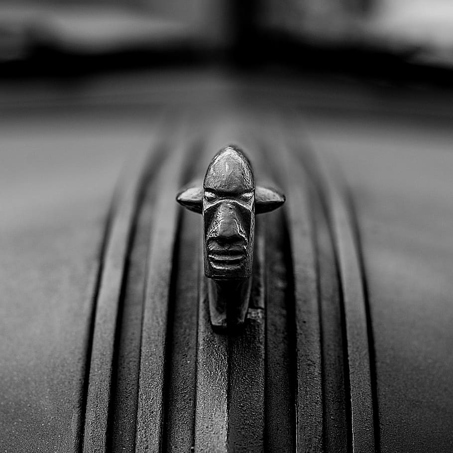 Fotografía en escala de grises, figura de la cabeza, negro, blanco, insignia del automóvil, emblema, arte, fondo, nerivill1, pontiac torpedo