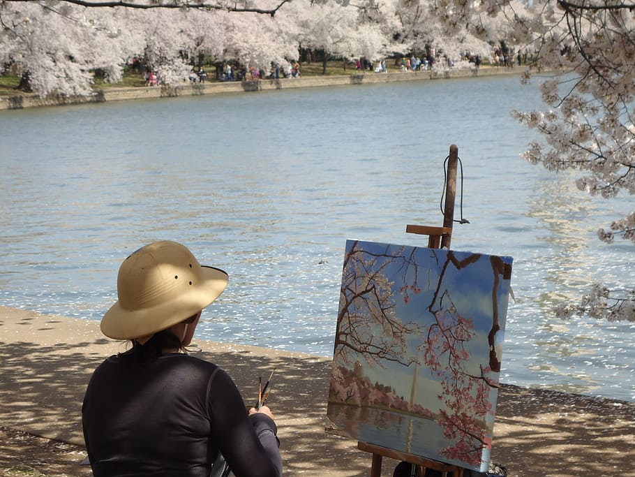 Artist, Cherry Blossoms, Painting, washington dc, water, outdoors, nature, people, travel Locations, color Image