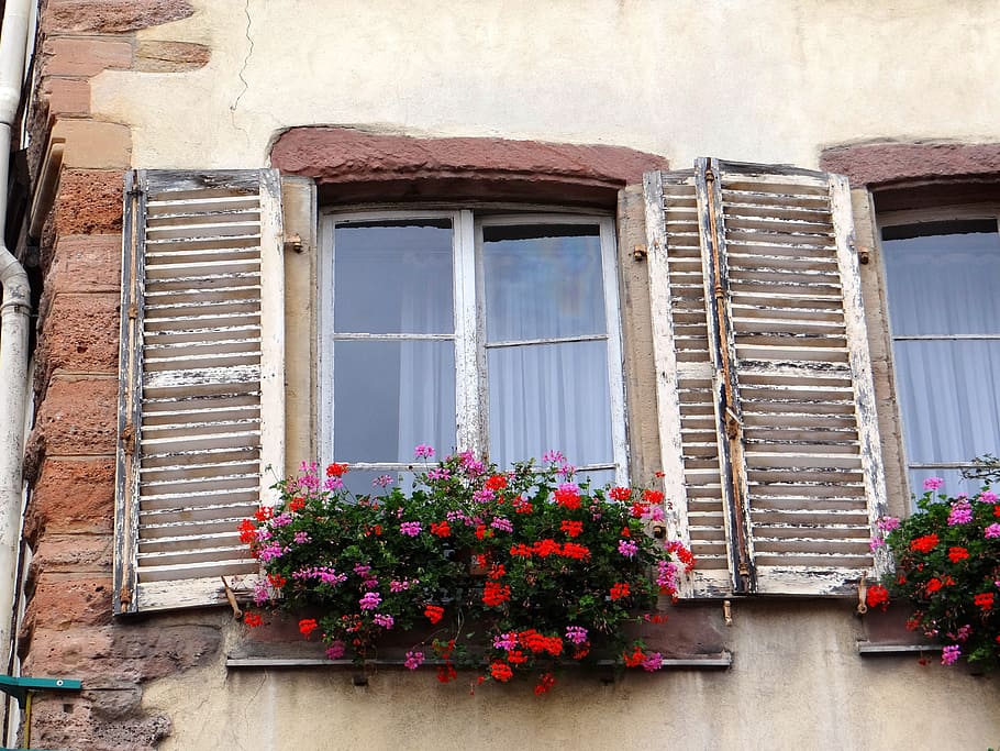 janela, persianas, flores, pedras, pitoresca, marrom bege, cidade velha, historicamente, casa, alsácia