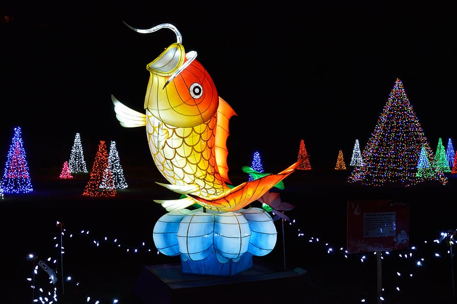 fish, festival of lights, niagara falls, chinese, festive, celebration, light, decoration, night, illuminated