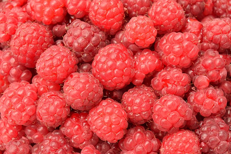 red fruits, raspberries, close, background, fruit, red, sweet, delicious, healthy, frisch