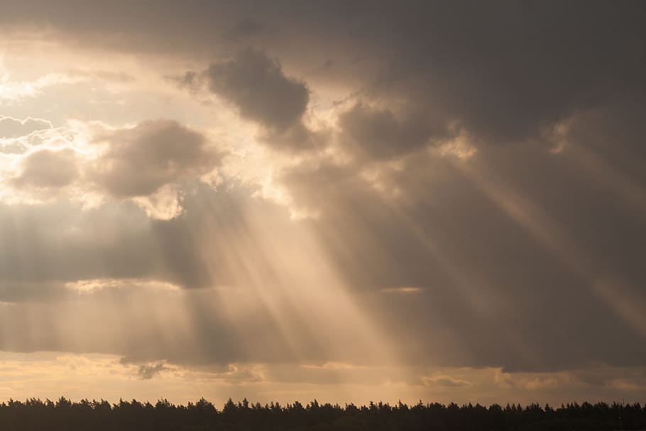 light rays, passing, clouds, sun, light, rays, sky, trees, forest, sunlight