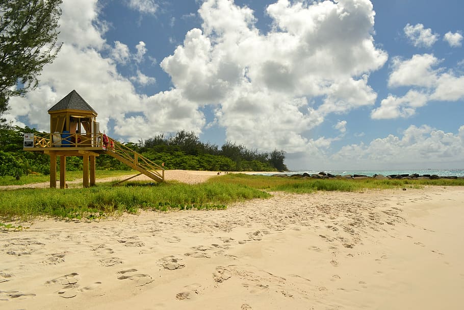 barbados, beach, beach hut, travel, sea, coast, tropical, scenic, caribbean beach, shore