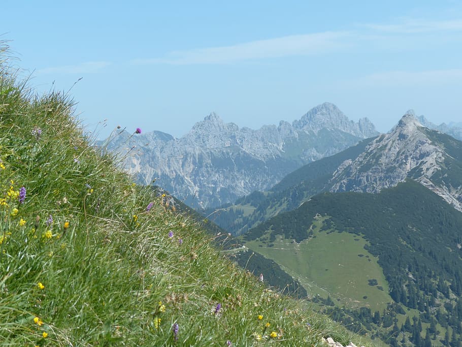 litnisschrofen, krinnenspitze, caminata, caminata de montaña, senderismo, más, montañas, alpino, prados de montaña, prados de flores