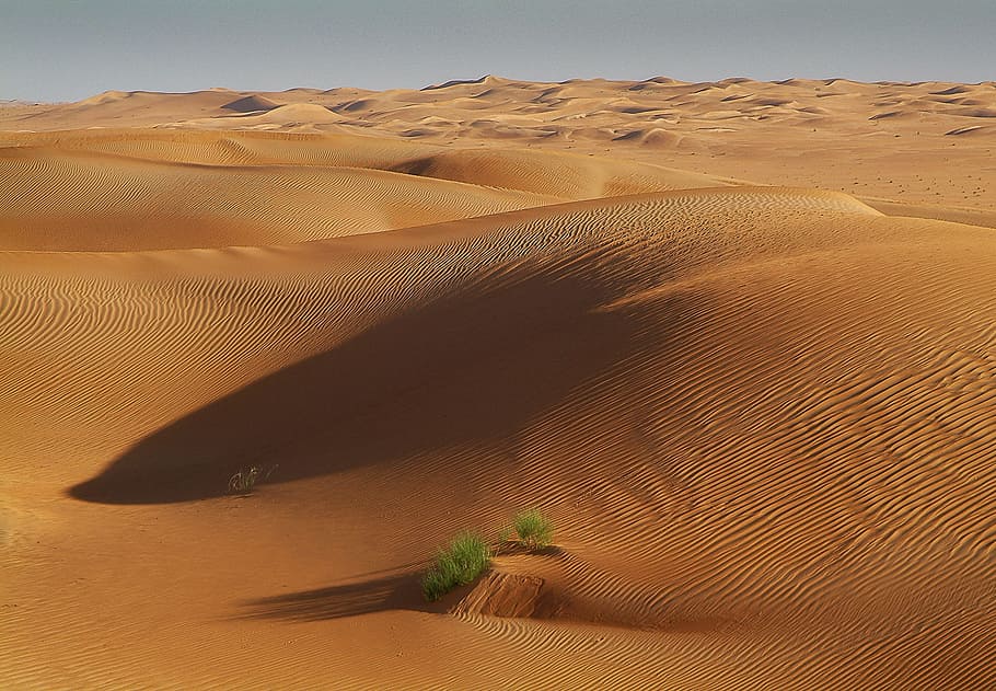 udara, fotografi, oasis, gurun, tunisia, sahara, pasir, bukit pasir, gundukan pasir, lanskap
