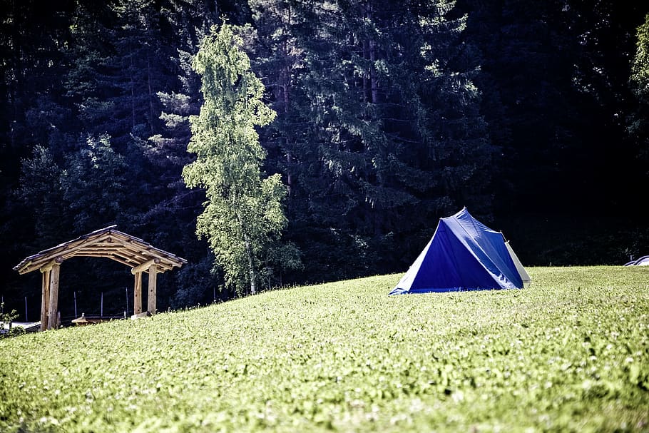 blue, tent, tree, green, grass, highland, grassland, landscape, nature, mountain