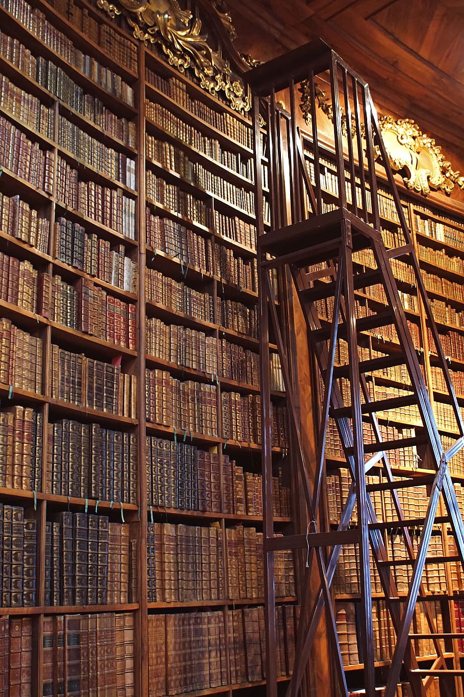 marrom, de madeira, escada, ao lado de, estante de livros, interior, biblioteca, viena, biblioteca nacional, salão cerimonial