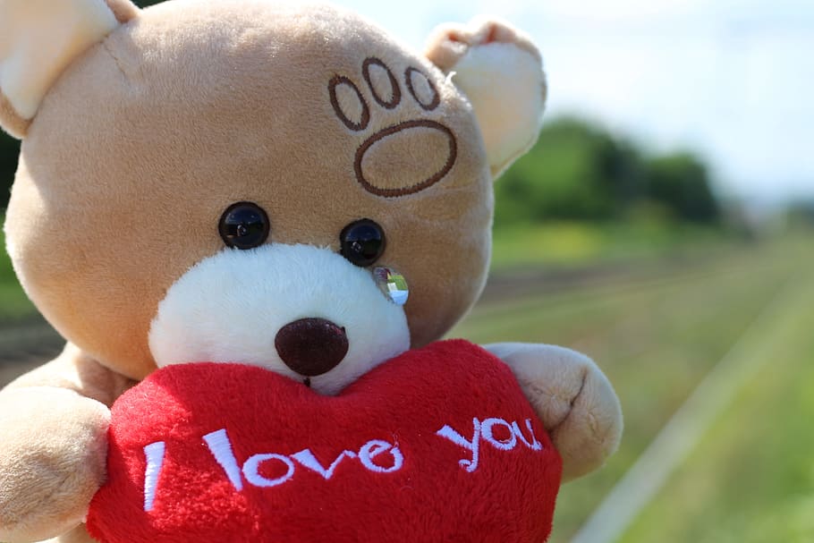 selective, focus photography, bear, holding, heart, plush, toy, stop children suicide, teddy bear crying, railway